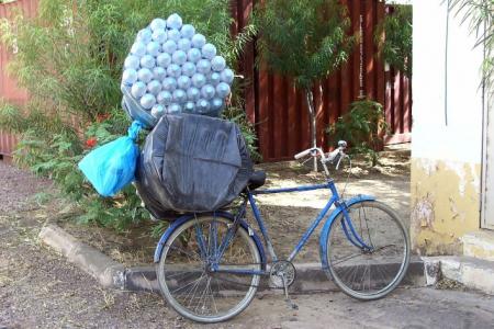 insolite